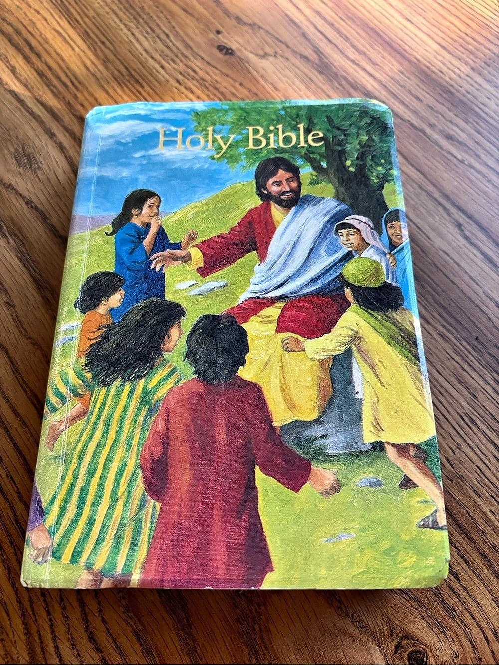 Thomas Nelson Holy Bible Illustrated Book